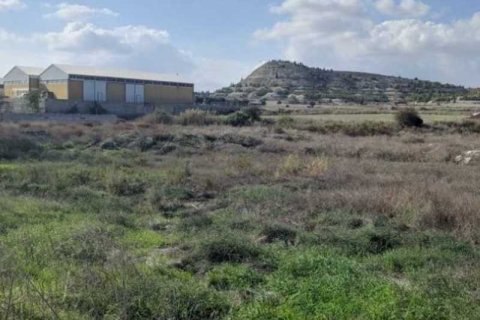 7693m² Land in Alampra, Cyprus No. 35672 1