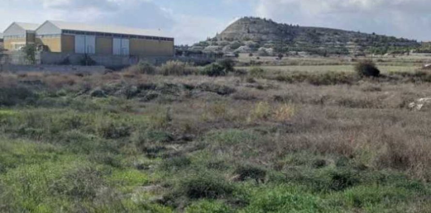 7693m² Land in Alampra, Cyprus No. 35672