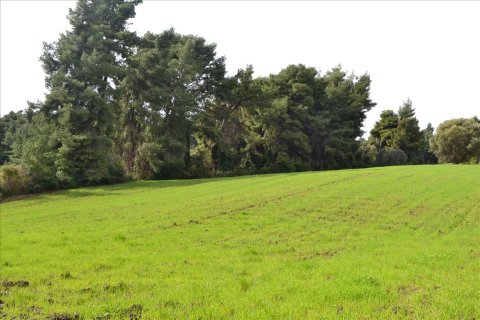 6750m² Land in Chalkidiki, Greece No. 59819 1