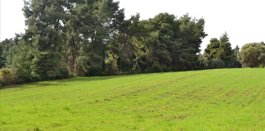 6750m² Land in Chalkidiki, Greece No. 59819
