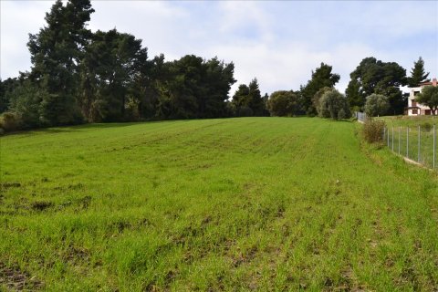 6750m² Land in Chalkidiki, Greece No. 59819 3