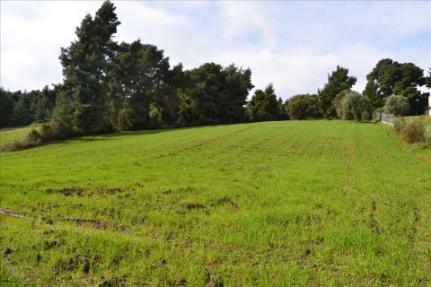 6750m² Land in Chalkidiki, Greece No. 59819 2