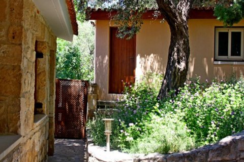 Studio Villa in Paphos, Cyprus No. 105141 5