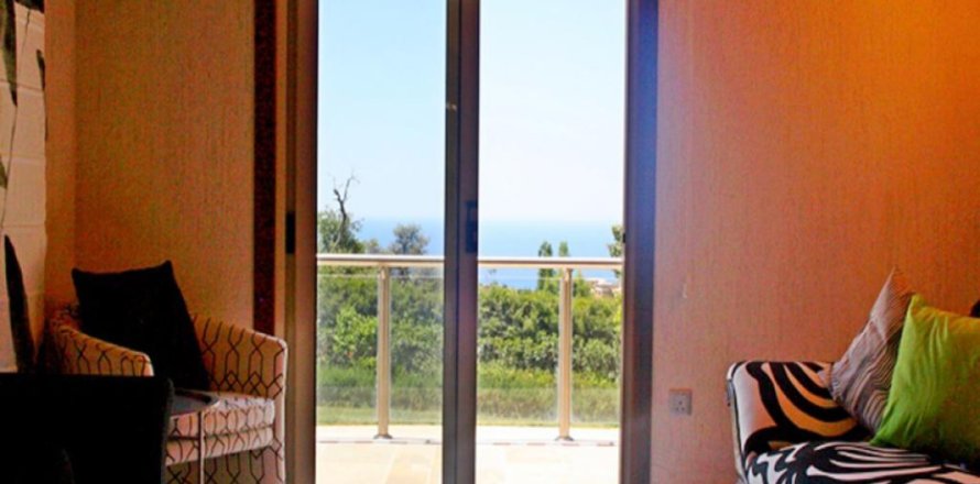 Studio Villa in Paphos, Cyprus No. 105141