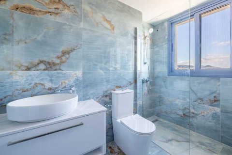 3 dormitorios Villa en Pegeia, Cyprus No. 79032 13