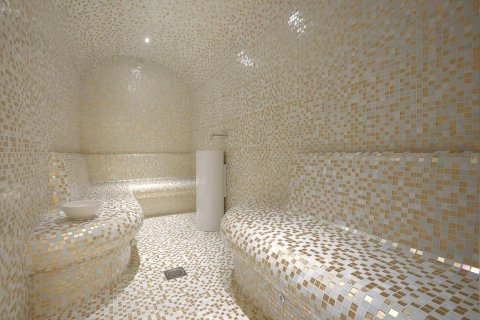 5 bedrooms Villa in Le Cannet, France No. 100262 17