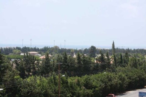 4 chambres Villa à Geroskípou, Cyprus No. 84397 12