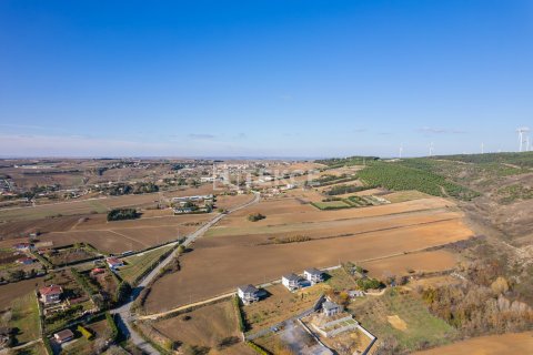9 bedrooms Villa in Bien Dong, Vietnam No. 88503 5