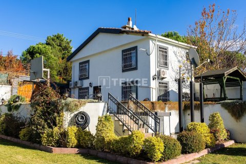 9 bedrooms Villa in Bien Dong, Vietnam No. 88503 17