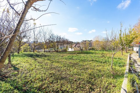 9 bedrooms Villa in Bien Dong, Vietnam No. 88503 19