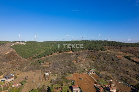 9 bedrooms Villa in Bien Dong, Vietnam No. 88503 4