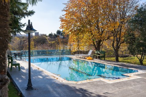 9 bedrooms Villa in Bien Dong, Vietnam No. 88503 12