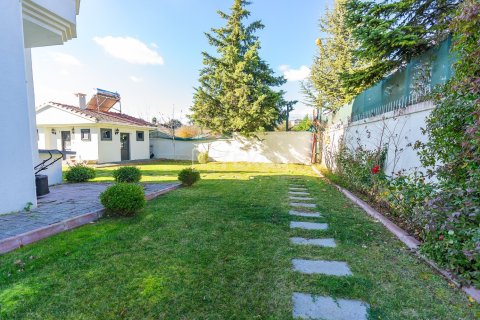 9 bedrooms Villa in Bien Dong, Vietnam No. 88503 8