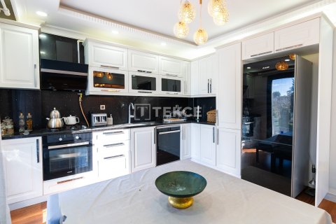 9 bedrooms Villa in Bien Dong, Vietnam No. 88503 26