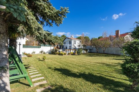 9 bedrooms Villa in Bien Dong, Vietnam No. 88503 16