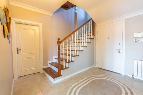 9 bedrooms Villa in Bien Dong, Vietnam No. 88503 27