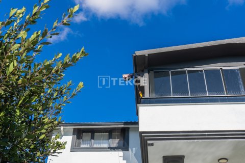 9 bedrooms Villa in Bien Dong, Vietnam No. 88503 15