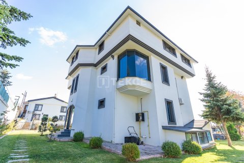 9 bedrooms Villa in Bien Dong, Vietnam No. 88503 7