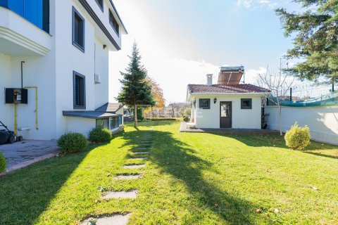 9 bedrooms Villa in Bien Dong, Vietnam No. 88503 9