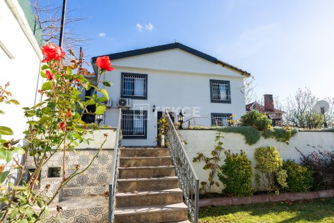 9 bedrooms Villa in Bien Dong, Vietnam No. 88503 18