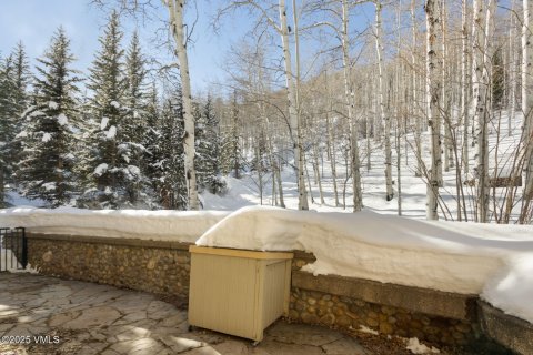 Дом с 4 спальнями в Бивер Крик, США №75476 15