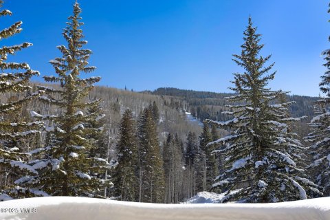 Дом с 4 спальнями в Бивер Крик, США №75476 8