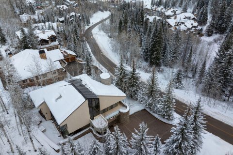 Дом с 4 спальнями в Бивер Крик, США №75476 3