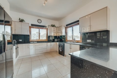 4 bedrooms Villa in Ayia Napa, Cyprus No. 36545 9