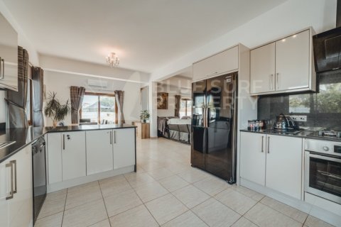 4 bedrooms Villa in Ayia Napa, Cyprus No. 36545 11