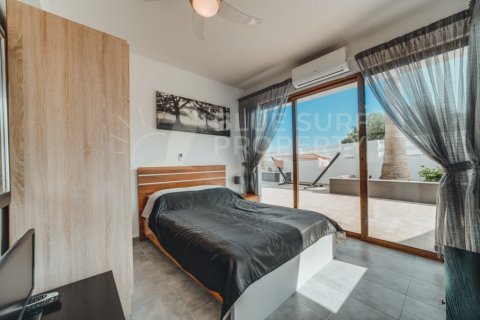 4 bedrooms Villa in Ayia Napa, Cyprus No. 36545 15