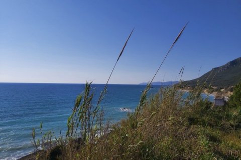 3 bedrooms Villa in Corfu, Greece No. 56036 29