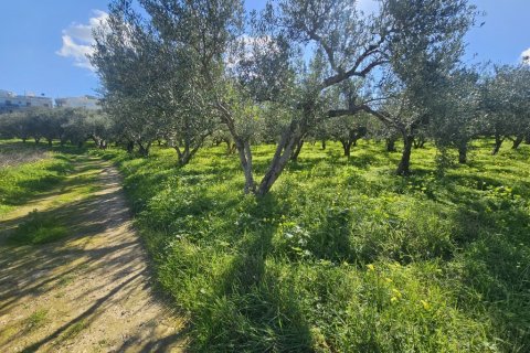 1654m² Land in Gazi, Greece No. 122743 5