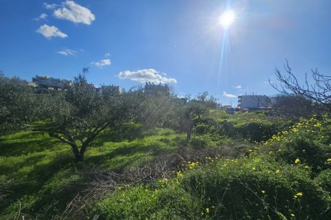 1654m² Land in Gazi, Greece No. 122743 2