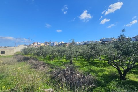 1654m² Land in Gazi, Greece No. 122743 3