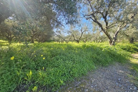 1654m² Land in Gazi, Greece No. 122743 8