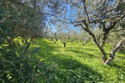 1654m² Land in Gazi, Greece No. 122743 9