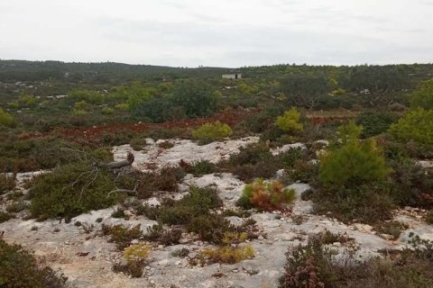 Land in Zakynthos, Greece No. 28132 18