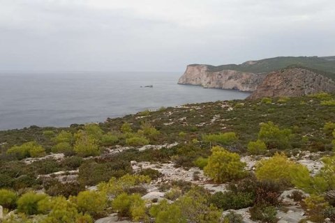Land in Zakynthos, Greece No. 28132 8