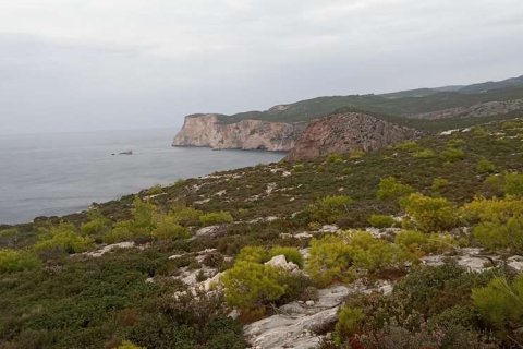 Land in Zakynthos, Greece No. 28132 19