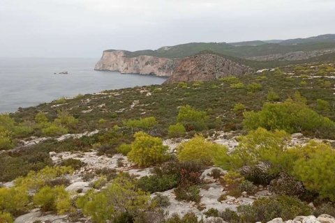 Land in Zakynthos, Greece No. 28132 5