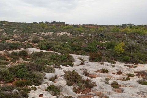 Land in Zakynthos, Greece No. 28132 15