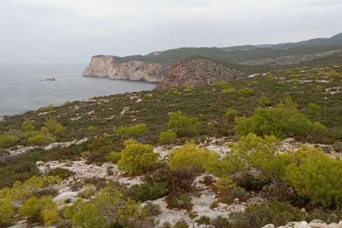 Land in Zakynthos, Greece No. 28132 20