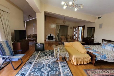 Вилла с 7 спальнями в Терми, Греция №107705 9