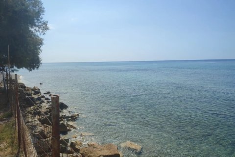 4 chambres House à Chalkidiki, Greece No. 108484 14