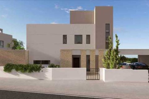 5 bedrooms House in Kouklia, Cyprus No. 101195 6