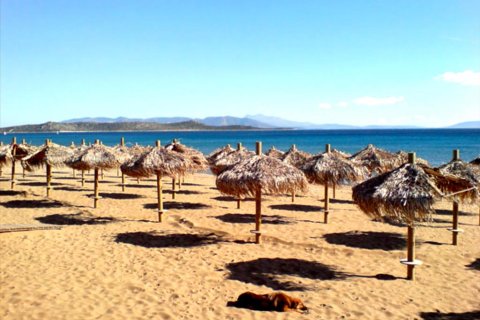 540m² Edificio en Marathon, Greece No. 57566 2