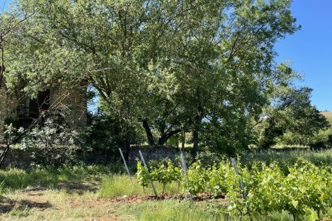 Дом 310м² в Котиньяк, Франция №68920 3