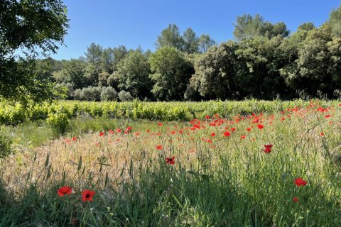 Дом 310м² в Котиньяк, Франция №68920 1