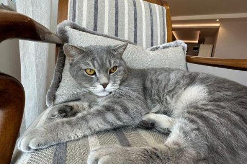 4 rooms Apartment in Chau Lang, Vietnam No. 22050 14