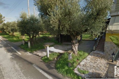 4 bedrooms House in Zakynthos, Greece No. 24517 5